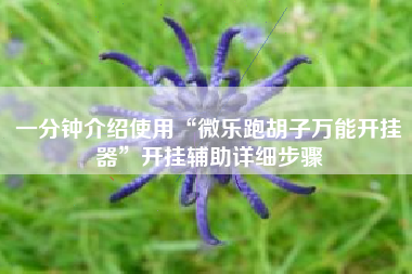 一分钟介绍使用“微乐跑胡子万能开挂器”开挂辅助详细步骤