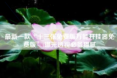 最新一款“十三张免费版万能开挂器免费版	”(曝光透视必备猫腻