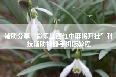 辅助分享“微乐江西红中麻将开挂”科技辅助神器手机版教程