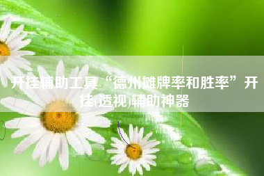 开挂辅助工具“德州摊牌率和胜率”开挂(透视)辅助神器