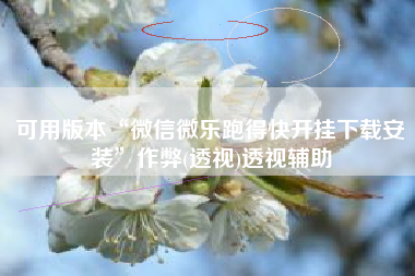 可用版本“微信微乐跑得快开挂下载安装	”作弊(透视)透视辅助