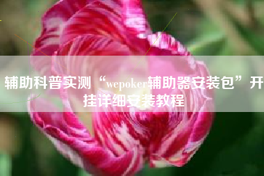 辅助科普实测“wepoker辅助器安装包”开挂详细安装教程