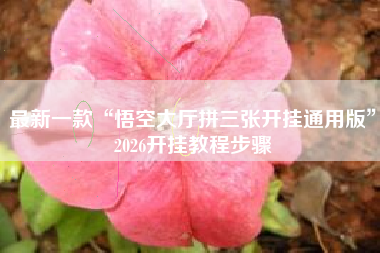 最新一款“悟空大厅拼三张开挂通用版	”2026开挂教程步骤