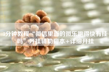 3分钟教程“微信里面的微乐跑得快有挂吗”开挂辅助脚本+详细开挂