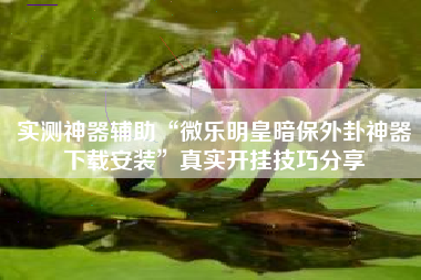 实测神器辅助“微乐明皇暗保外卦神器下载安装”真实开挂技巧分享