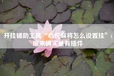 开挂辅助工具“心悦麻将怎么设置挂”(原来确实是有插件