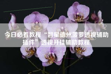 今日必看教程“智星德州菠萝透视辅助插件”透视开挂辅助教程