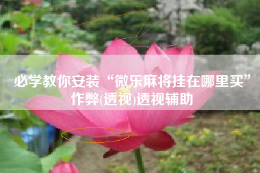 必学教你安装“微乐麻将挂在哪里买	”作弊(透视)透视辅助