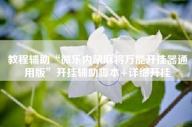 教程辅助“微乐内蒙麻将万能开挂器通用版	”开挂辅助脚本+详细开挂