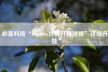 必备科技“wepoker作弊开挂透视”详细开挂