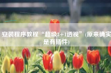 安装程序教程“超级3+1透视”(原来确实是有插件)