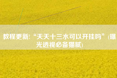 教程更新!“天天十三水可以开挂吗	”(曝光透视必备猫腻)