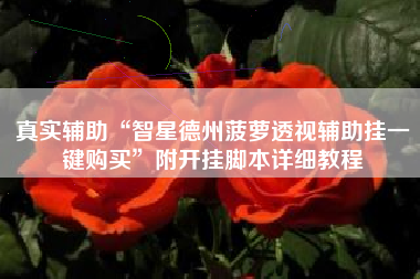 真实辅助“智星德州菠萝透视辅助挂一键购买	”附开挂脚本详细教程