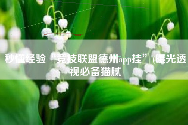 秒懂经验“竞技联盟德州app挂”(曝光透视必备猫腻