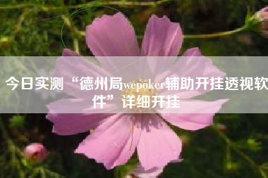 今日实测“德州局wepoker辅助开挂透视软件	”详细开挂
