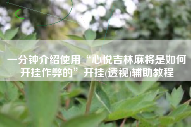 一分钟介绍使用“心悦吉林麻将是如何开挂作弊的	”开挂(透视)辅助教程