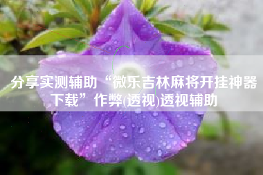 分享实测辅助“微乐吉林麻将开挂神器下载”作弊(透视)透视辅助