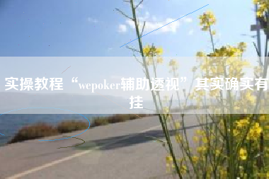实操教程“wepoker辅助透视”其实确实有挂