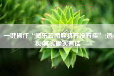 一键操作“微乐云南麻将有没有挂”(透视)其实确实有挂