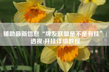 辅助最新信息“牌友联盟是不是有挂”(透视)开挂详细教程