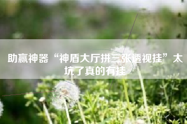 助赢神器“神盾大厅拼三张透视挂”太坑了真的有挂