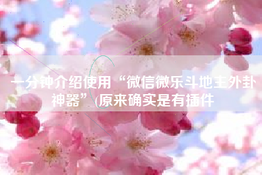 一分钟介绍使用“微信微乐斗地主外卦神器	”(原来确实是有插件