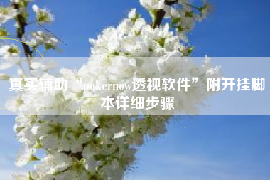 真实辅助“pokernow透视软件	”附开挂脚本详细步骤