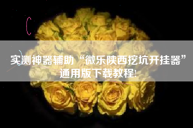 实测神器辅助“微乐陕西挖坑开挂器”通用版下载教程! 实测神器辅助“微乐陕西挖坑开挂器”通用版下载教程!