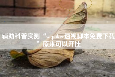 辅助科普实测“wepoker透视脚本免费下载”原来可以开挂