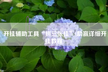 开挂辅助工具“拼三张挂	”(助赢详细开挂教程)